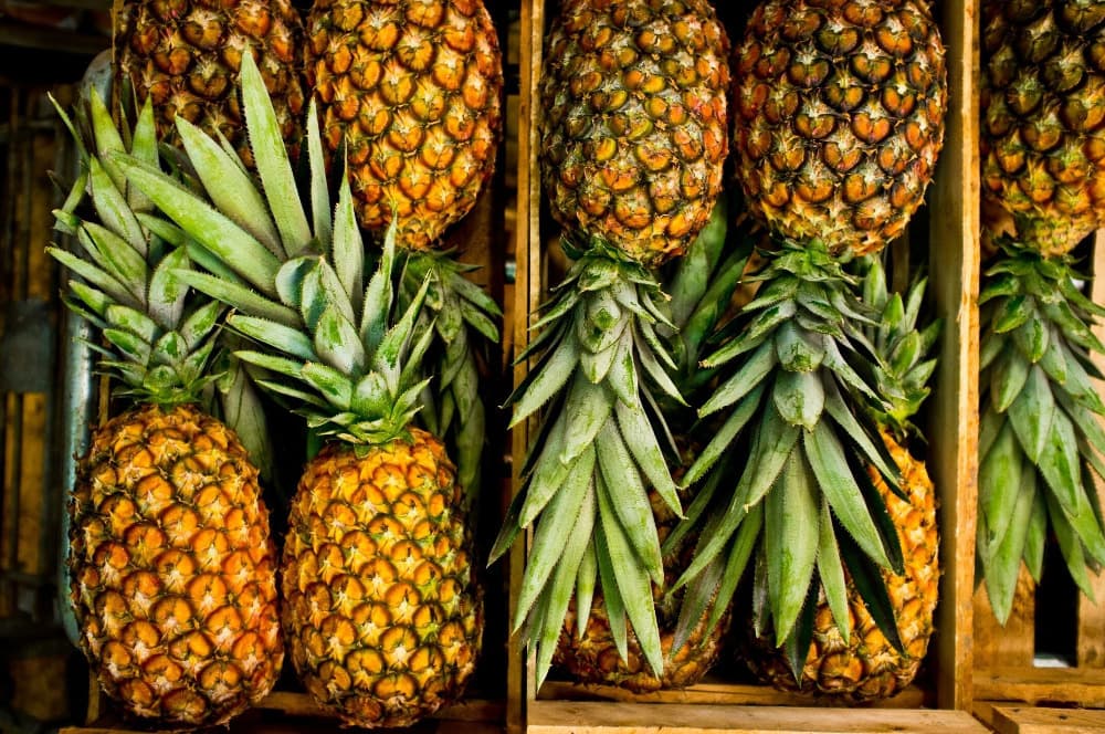 Quality Fresh Pineapple available_1